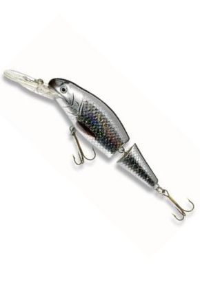 Cormoran ACTIVARO Roach, 12cm