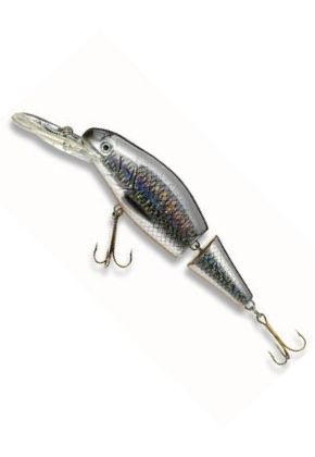 Cormoran ACTIVARO Roach/orange, 7cm