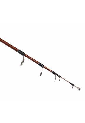 Black Hole River Hunter TELE 220 4-15гр