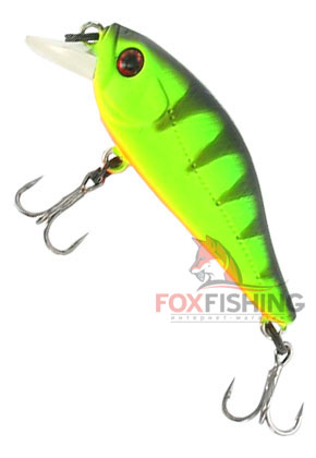 Pontoon21 Cheerful 40SP-SR №042