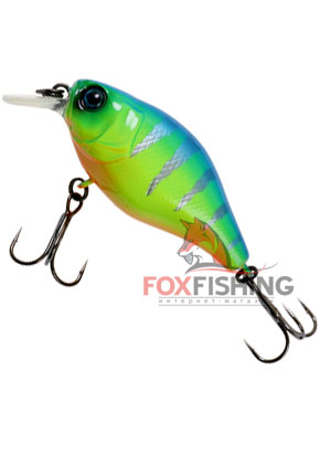 Jackall 10cc blue back tiger