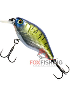 Jackall 10cc chrome tiger