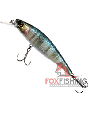 Jackall Squad Minnow 95, hasu